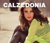 Guía de compras: Calzedonia