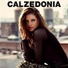 Catálogo de Calzedonia para la temporada de Otoño–Invierno 2013/14