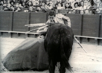 Una anécdota con el maestro Manzanares