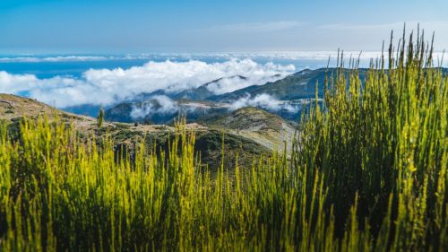 Madeira: Mar, naturaleza y otros secretos por descubrir