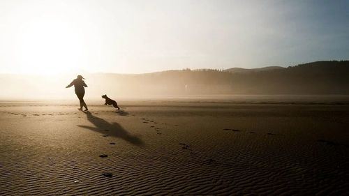 Verano y playas caninas: Descubrimos los destinos más económicos