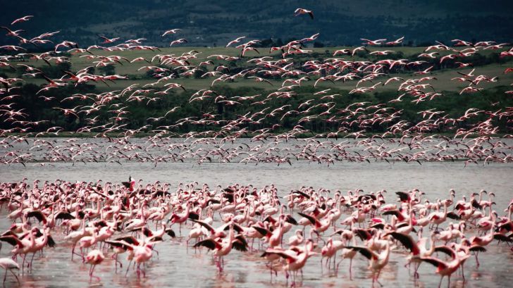 África Oriental: El secreto de la naturaleza más majestuosa