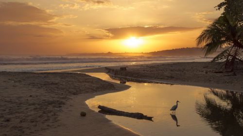 Descubre por qué Costa Rica es uno de los destinos internacionales con más crecimiento