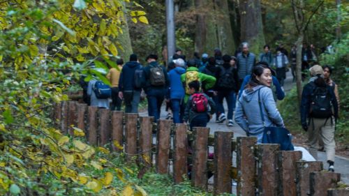 Rutas naturales para disfrutar en Tokio