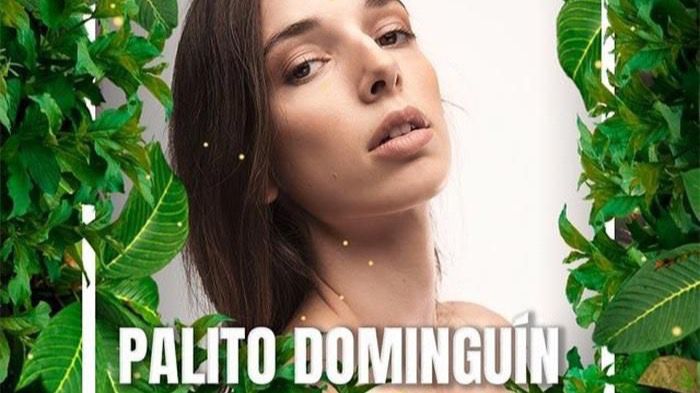 Palito Dominguín a 'Supervivientes'