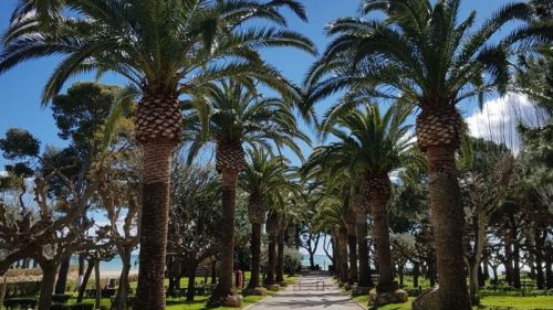 3 excursiones de un día en la Costa Dorada