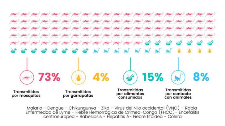 Infografía del informe '10 enfermedades a tener en cuenta en el turismo pospandemia'