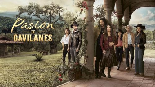 20 años de 'Pasión de Gavilanes': El antes y el después de una serie que marcó a una generación