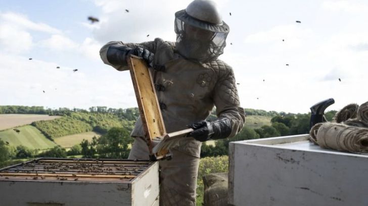 Beekeeper: El protector