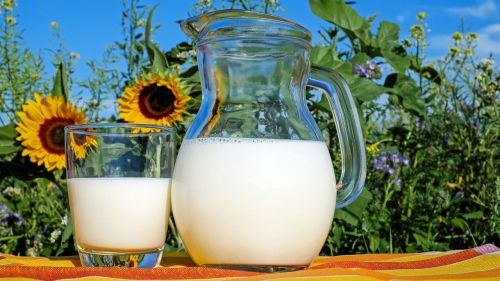 Este componente de la leche podría ayudar a prevenir el envejecimiento