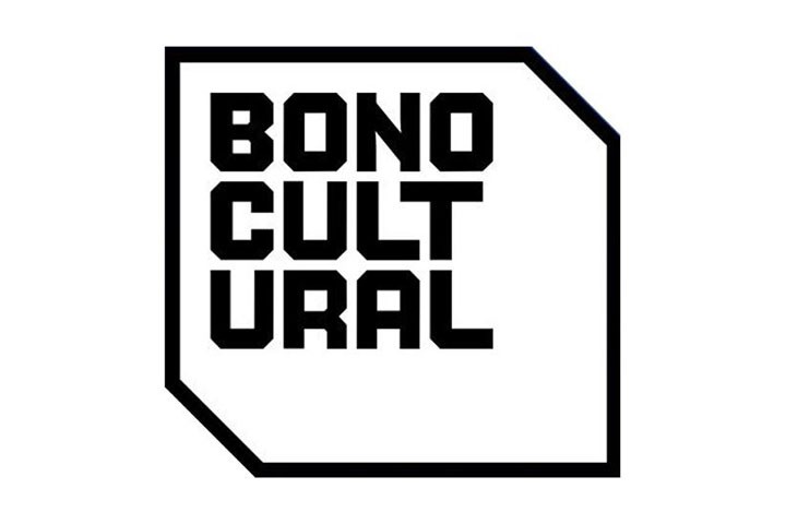Jóvenes de 2007 pueden pedir el Bono Cultural Joven 2025