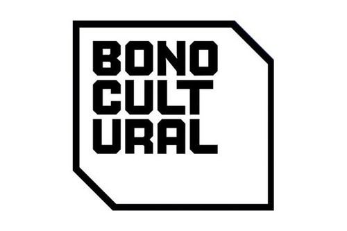 Jóvenes de 2007 pueden pedir el Bono Cultural Joven 2025