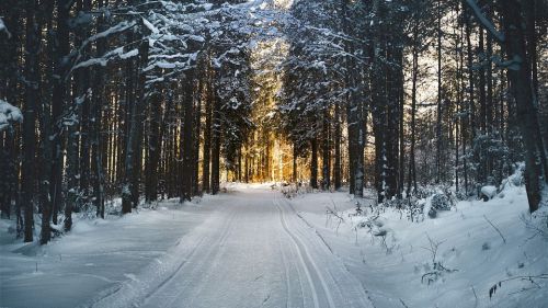 Consejos para 'sobrevivir' a una nevada