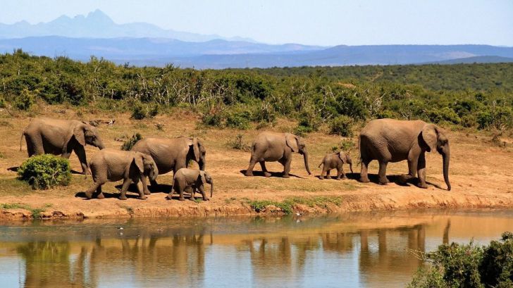 Navidades en Sudáfrica