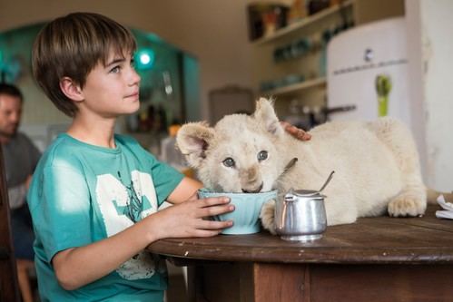 Mia y el león blanco