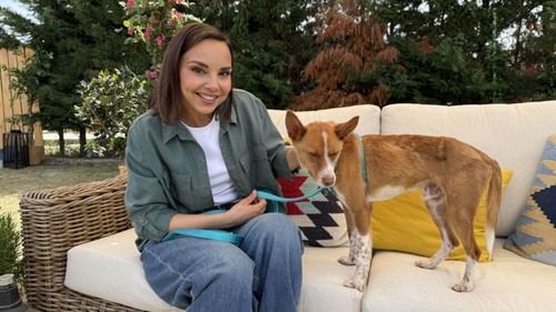 ‘Dog House’ vuelve a La 1 con su segunda temporada llena de emociones y nuevas historias