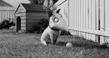 Os presentamos a Frankenweenie